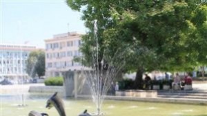 Пари за млади фермери в Търговище вече 12 души са