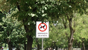 Махат забранителните табели за кучета в Стара Загора
