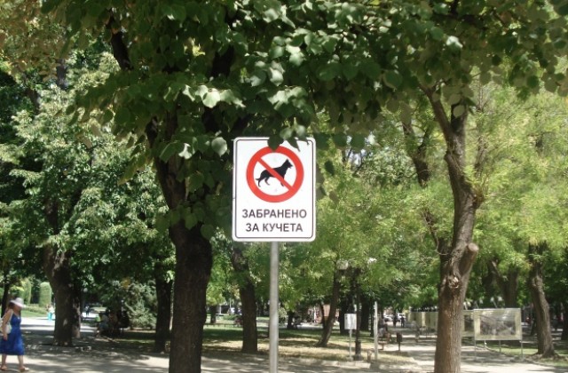 Махат забранителните табели за кучета в Стара Загора