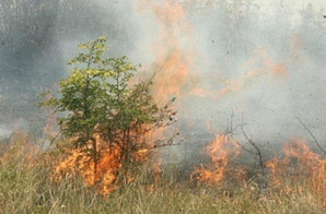Пожар засегна над 200 дка. под връх Васил Левски