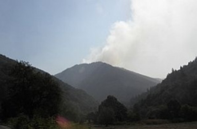 Пожарът в Рила е засегнал около 1500 дка, 500 души ще гасят утре