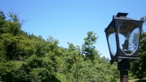 Пето издание на фестивала Сватбата единство и многообразие в АЕК