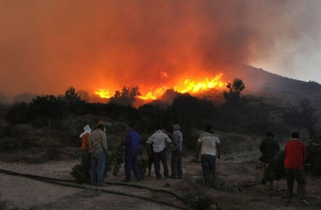 Голям пожар пламна североизточно от Атина