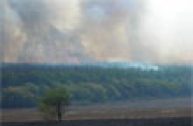 Хора и техника пречат на пожара в местността Бели бор да се разраства