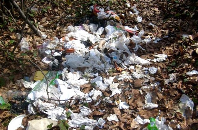 Сметището на Русе пламна, огънят е овладян