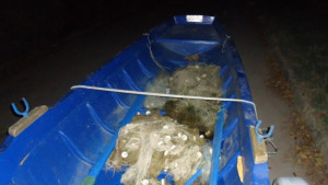 440 метра бракониерски мрежи са иззети от Дунав