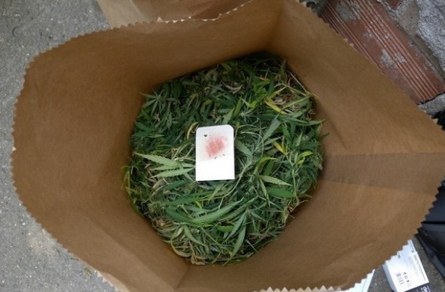 Откриха 21 килограма канабис в Дебелец