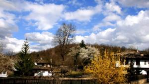 Международен пленер по живопис в Боженци