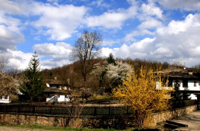 Международен пленер по живопис в Боженци