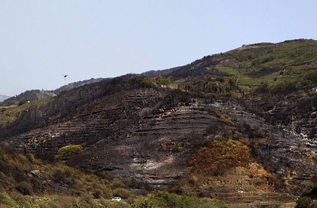 Пожари бушуват недалеч от Мадрид, 2000 столичани бяха евакуирани