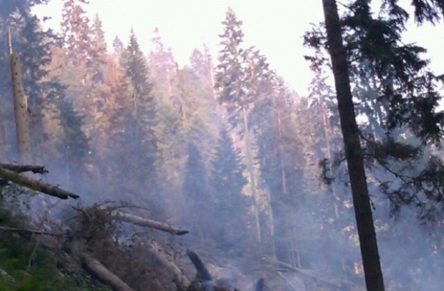 Локализираха пожара в местността „Бели бор в Рила планина