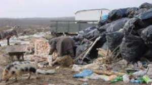 Все още има тлеещи участъци на Регионално депоРусе