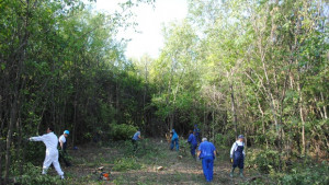 Започна подготовката на площадката за радиоактивни отпадъци