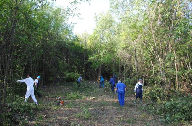 Започна подготовката на площадката за радиоактивни отпадъци