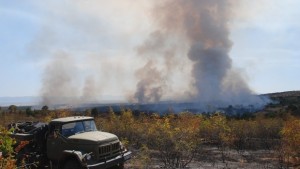 Пожарът край Брягово на 1000 дка