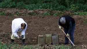 Нашенският преход през погледа на шопа
