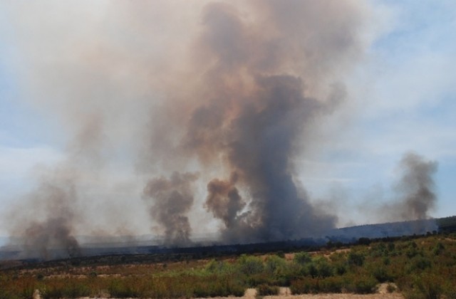 На два пъти се палят сухи треви в парк Марица