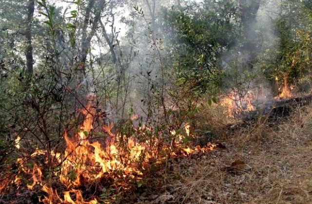 Разраства се пожарът край селата Родопи и Любеново