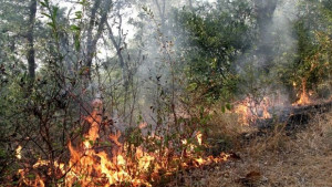Пет пожара за два дни в Габровско