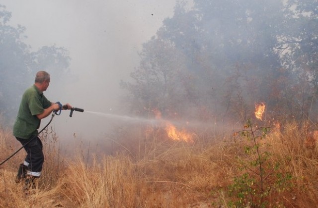 Локализиран е пожарът между селата Родопи и Любеново