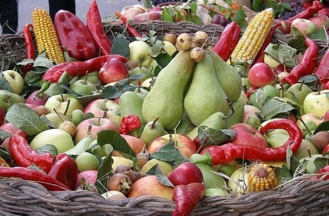 Финансират производители на плодове, зеленчуци и гъби