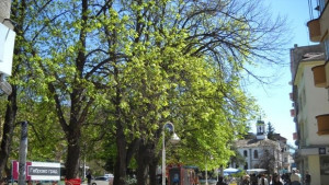 Габровци отбелязват Съединението на България пред паметника на Чардафон