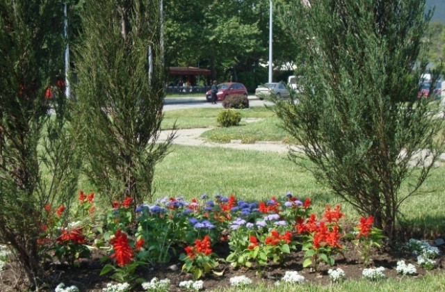 130 безработни ще озеленяват Панагюрище