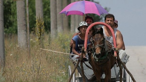 Кой обича българските роми