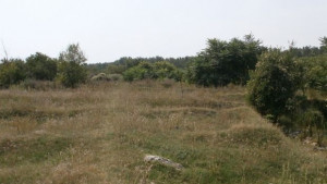 Стягат Ятрус за посещение на участници в Лимес конгреса