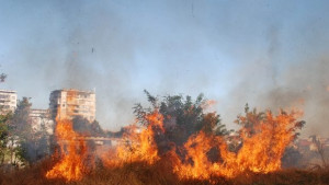 Треви и храсти горят в Кенана