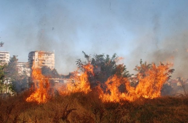 Треви и храсти горят в Кенана