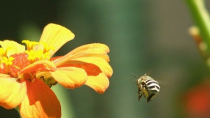 Предимно слънчево