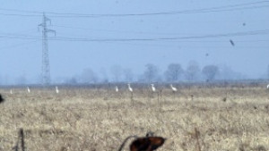 Б Петков Продажбата на земя от държавния поземлен фонд е