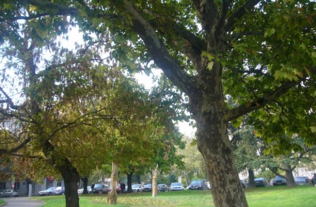 Времето без промяна - слънчево и топло