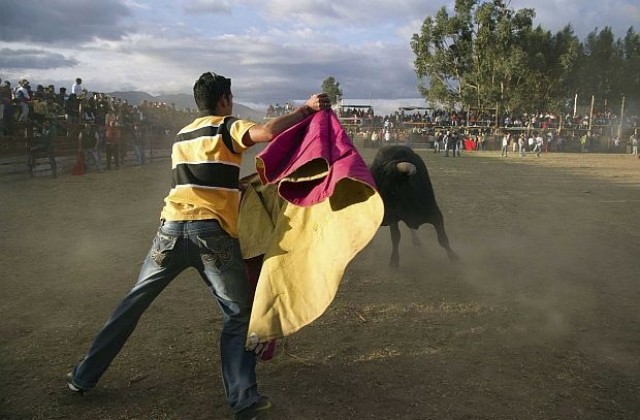 Борбата с бикове отново по испанската телевизия след 6-годишна забрана
