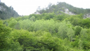 България на гражданите отправи критики към земеделския министър
