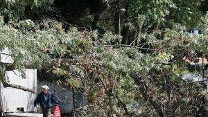 Оперират 48годишната от Пазарджик затисната от дърво