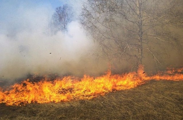 Изгоря 80 дка гора край Константиново