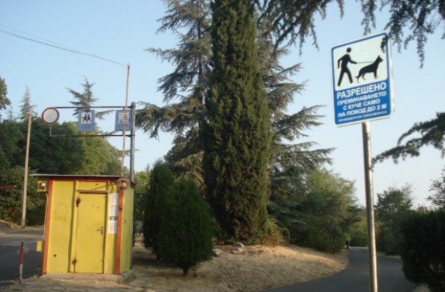 Готвят кучешка разходка пред  Общината заради хаоса с табелите