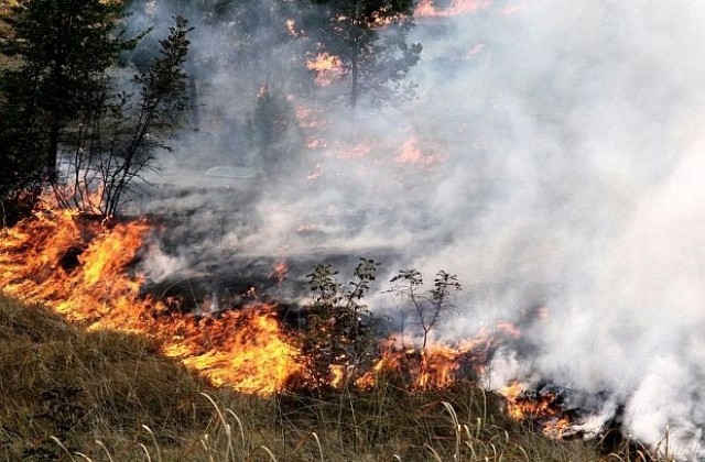 Пожар бушува край благоевградско село