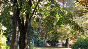 10 септември Световен ден за превенция на самоубийствата