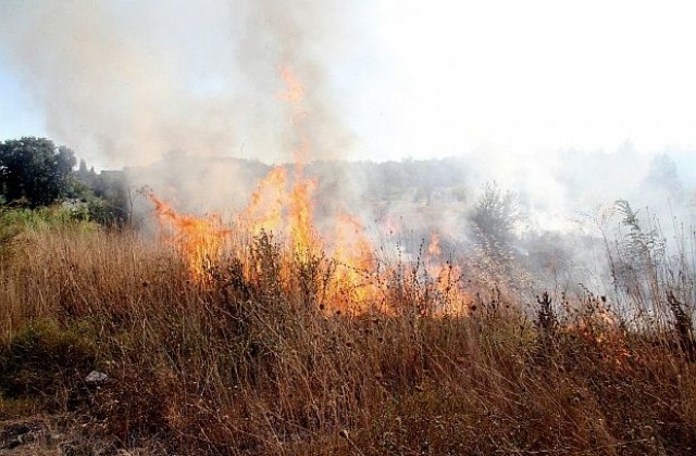 Пожарникари и горски работници спират пожар в Македония
