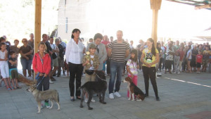 Найдоброто ловно куче в България е в Лом