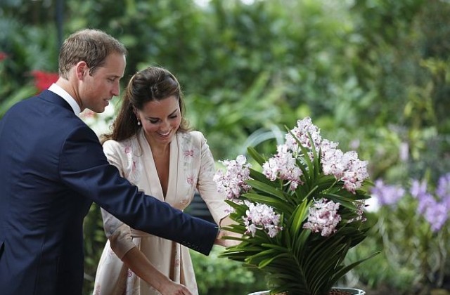 Принц Уилям и съпругата му Катрин на посещение в Сингапур