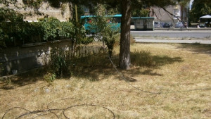 Отстраняването на въздушните кабели игра на котка и мишка