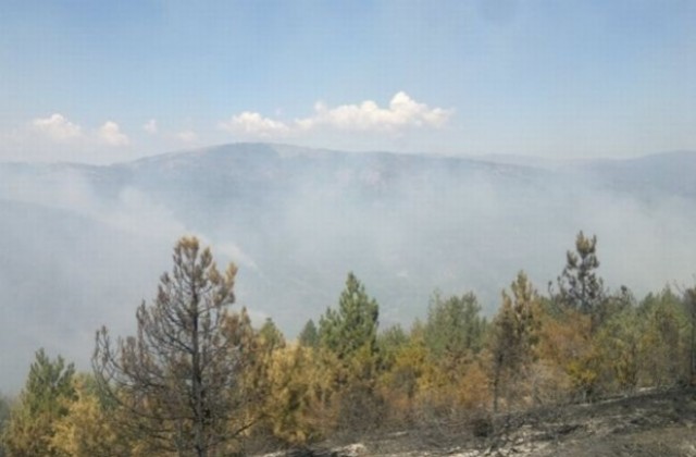 Четвърти ден продължава гасенето на пожара край село Раково