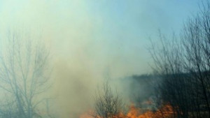 Човешка небрежност найчесто причинява пожарите в Силистренско