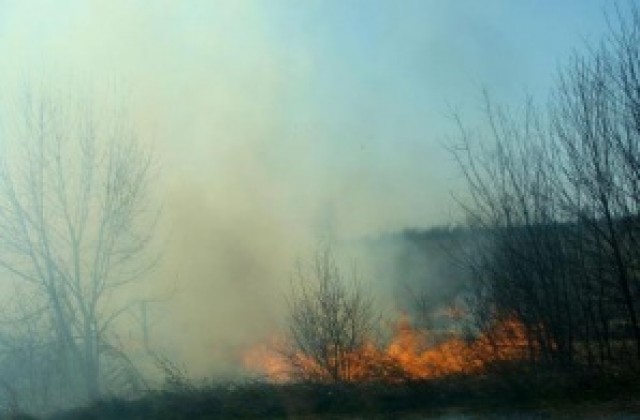Човешка небрежност най-често причинява пожарите в Силистренско