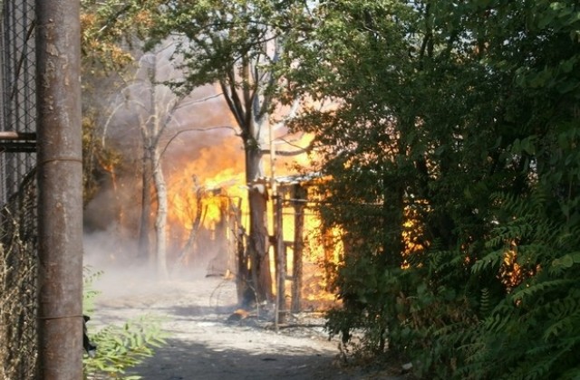 Две коли и 500 кв.м бараки изгоряха в Димитровград