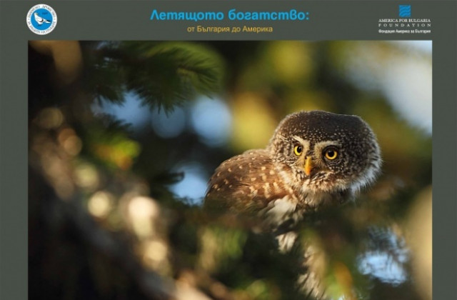 В зоопарка отриват фотоизложба за птиците